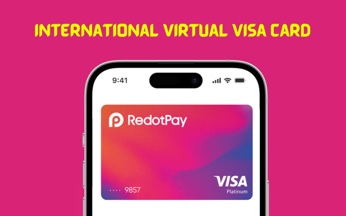 RedotPay Virtual Visa Card – TOP UP HUT